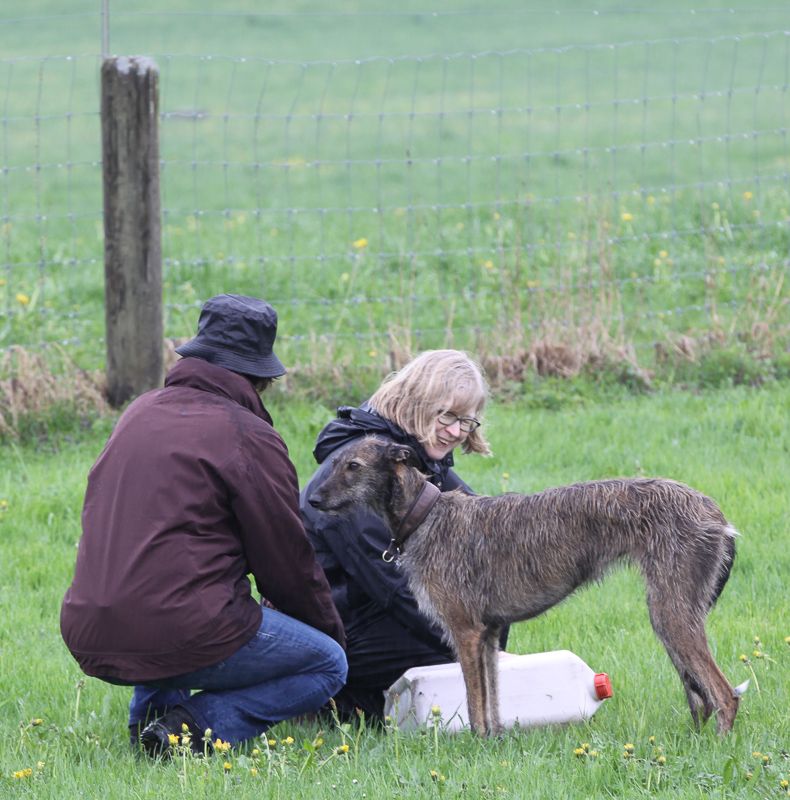 ZZP in Rifferswil vom 16.04.2016